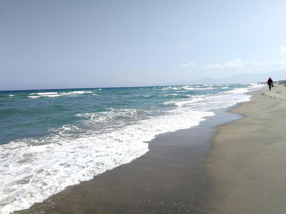 Agreable Studio 50M De La Plage Canet-en-Roussillon Exteriör bild